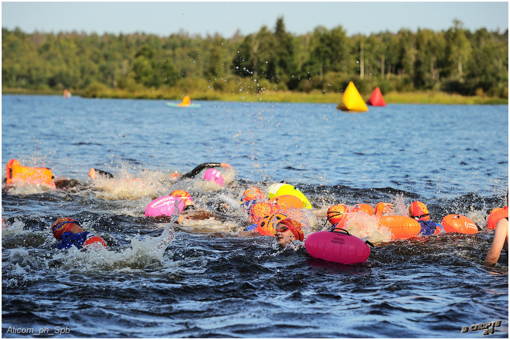 #ВПИТЕРЕПЛЫТЬ 6.0 18 августа 2024 года 